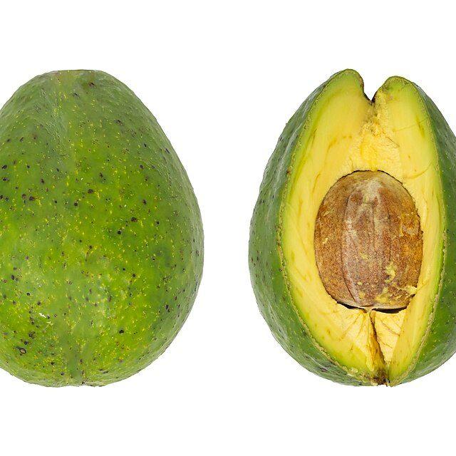 Ripe avocado