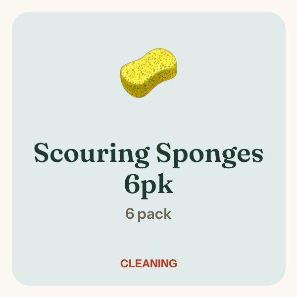 Scouring Sponges 6pk