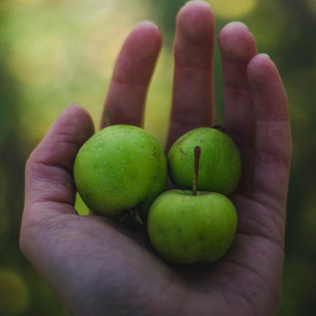 Granny Smith apples