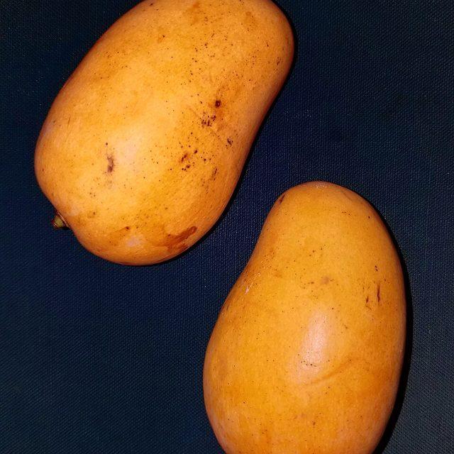 Mango