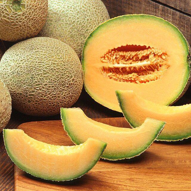 Cantaloupe melon