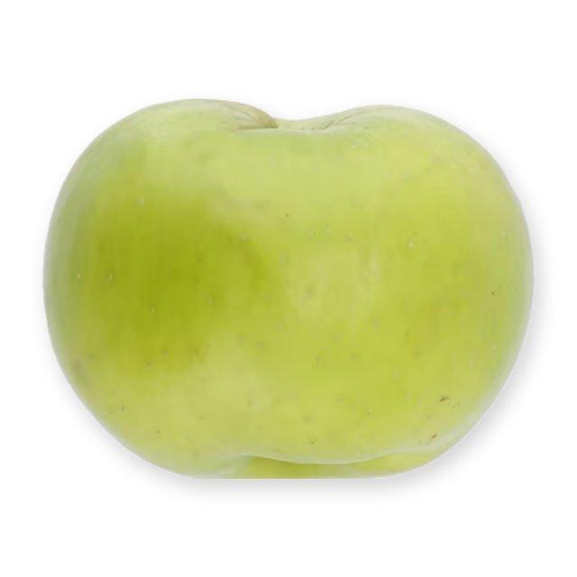 M&S Bramley Cooking Apple