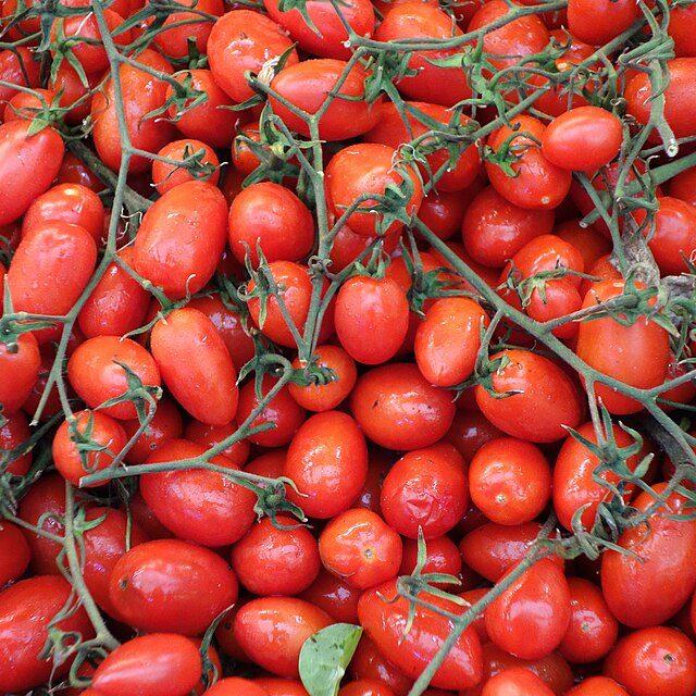 Plum tomatoes
