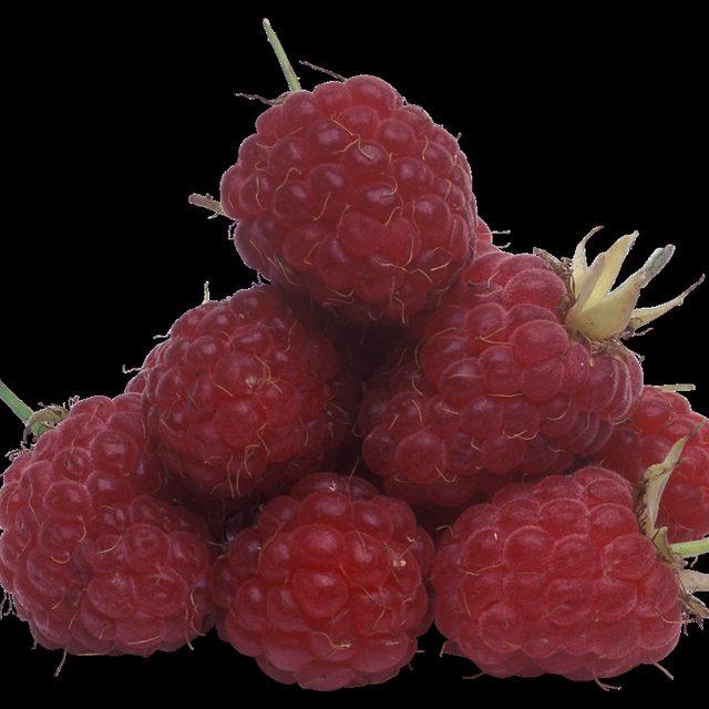 Raspberries