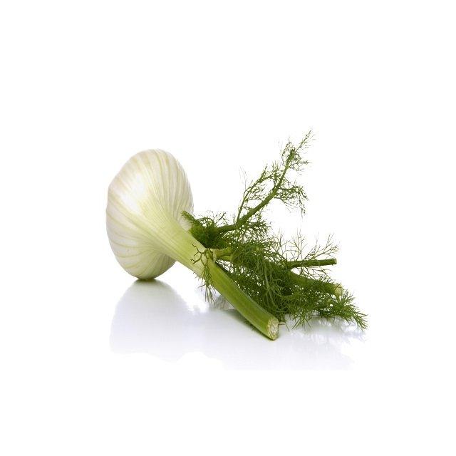 Fennel bulb