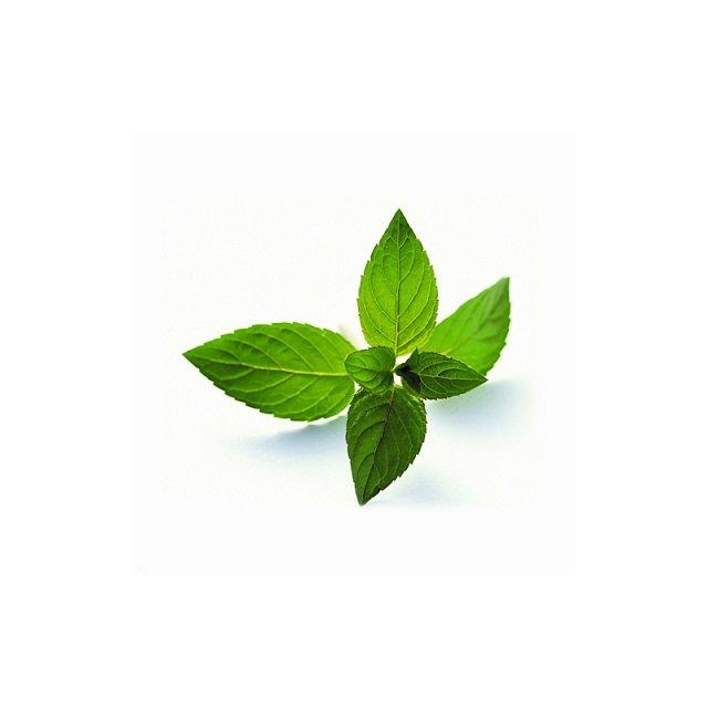 Fresh mint