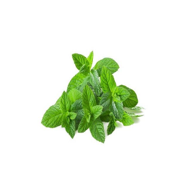 Staarvey Farm organic mint