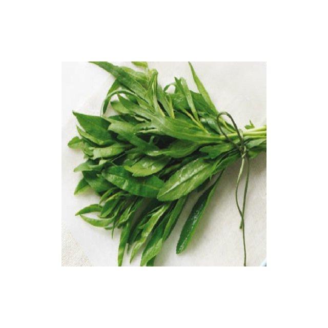 Fresh tarragon