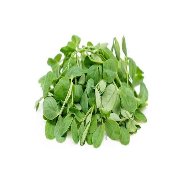 Micro pea shoots