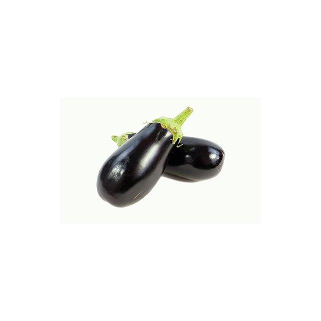 Aubergine