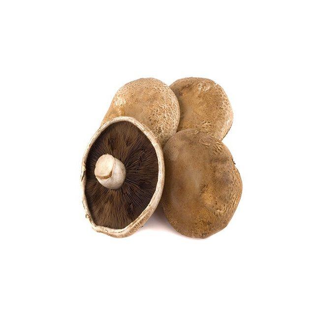 Shiitake mushrooms