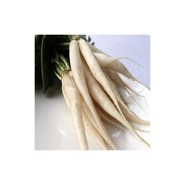 Mooli (white radish)