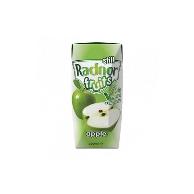 Radnor Fruits Apple Juice cartons, 24 pack