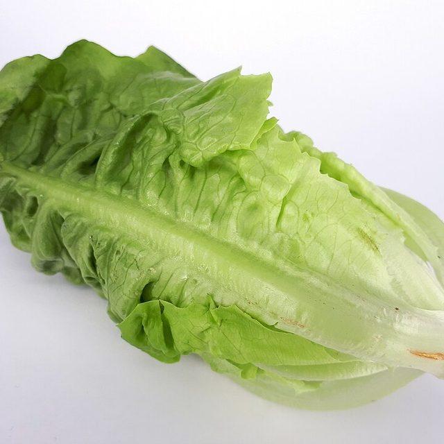 Romaine lettuce