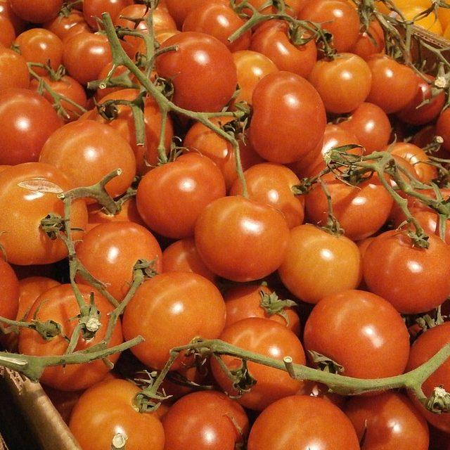 Salad tomatoes