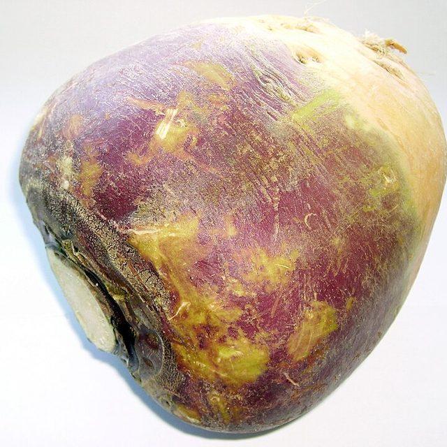 Swede
