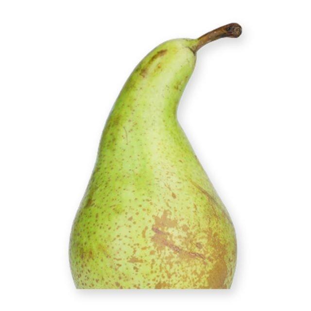M&S Conference Pear