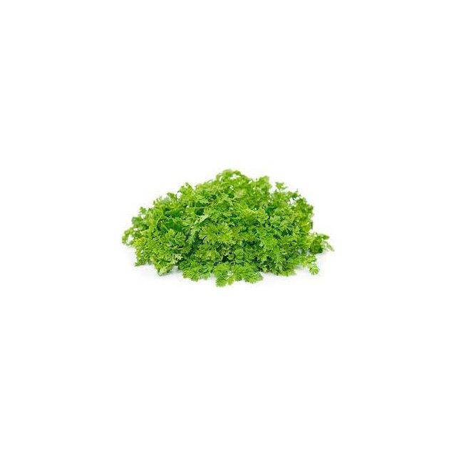 Fresh chervil