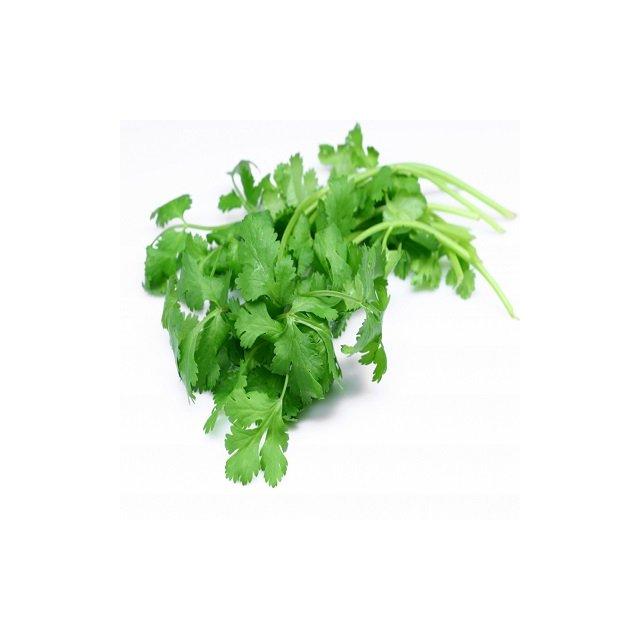 Fresh coriander