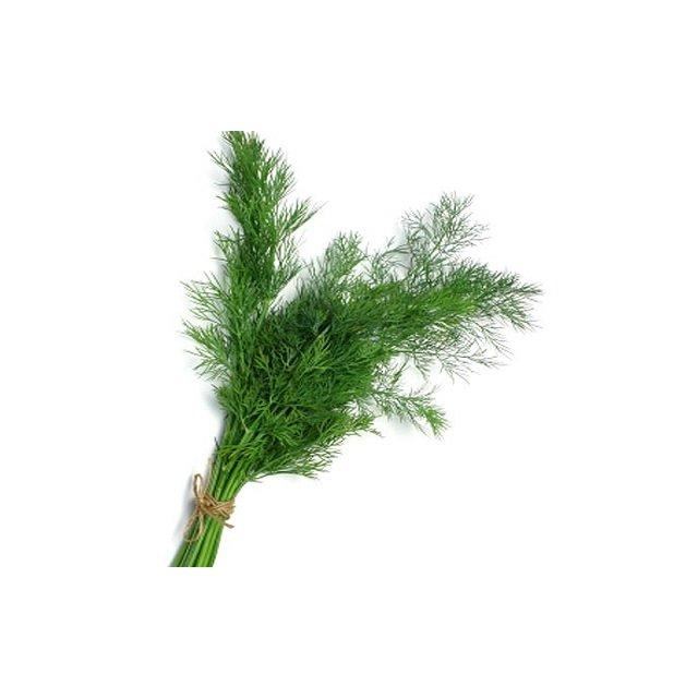 Fresh dill