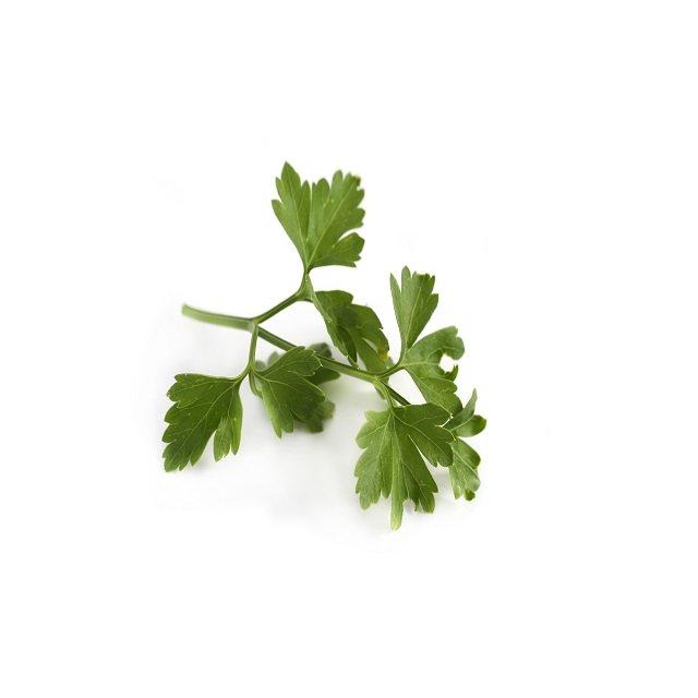 Flat leaf parsley, large bunch