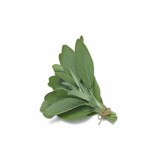 Fresh sage