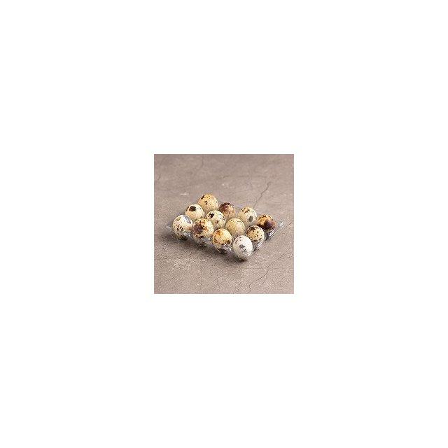 Fresh quail eggs